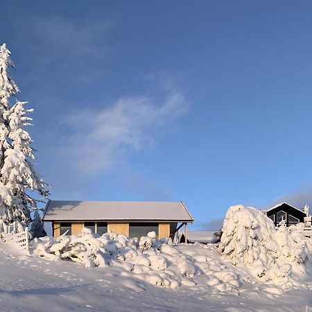 Amazing Home In Sjusjoen With Kitchen Exteriér fotografie