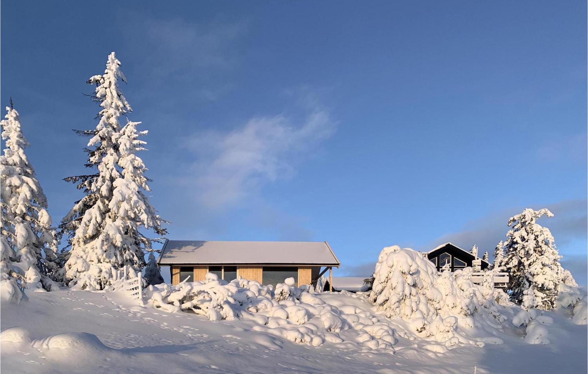 Amazing Home In Sjusjoen With Kitchen Exteriér fotografie